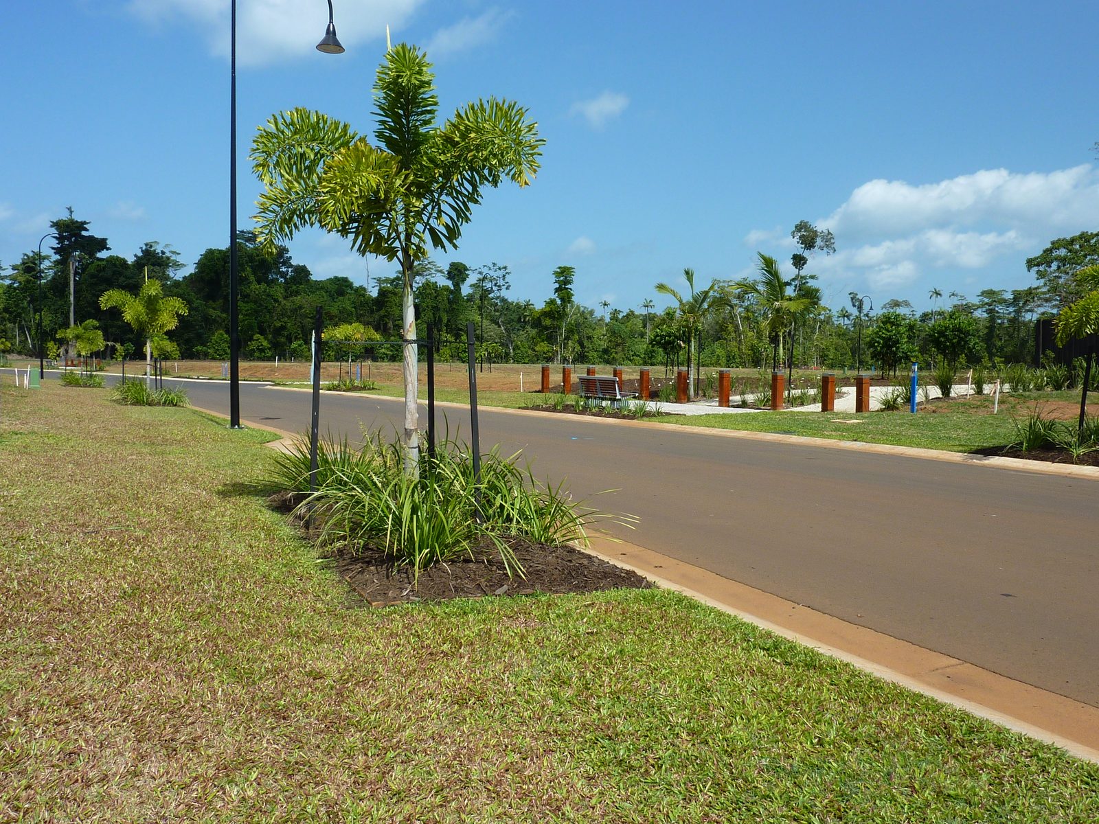 Oasis, Mission Beach, QLD — exterior finishes finished street view of infrastructure